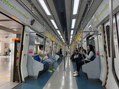 -望京西(地铁站)