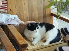 -萤火虫咖啡(后海店)