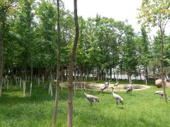 -艾溪湖湿地公园