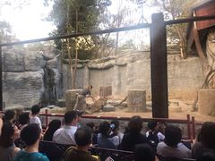 -清迈夜间动物园