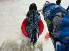 -世界之窗阿尔卑斯冰雪世界