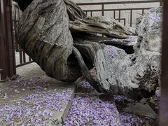 -郑和公园