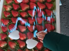 -西郊国际农产品交易中心