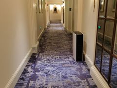 -广州富力丽思卡尔顿酒店