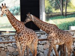 -北京野生动物园