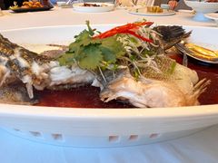 -皇朝尊会(龙之梦大酒店)