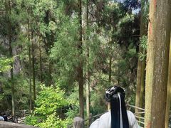 -刘伯温故里景区百丈漈