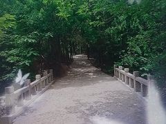-嵖岈山风景区