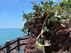 -涠洲岛火山国家地质公园