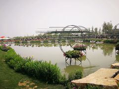 -荷兰花海