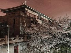 -武汉大学-樱园