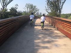 -昆山城市生态森林公园