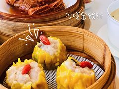沙爹金钱肚-铭家点心(秦岭路店)