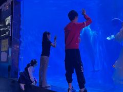 -多彩贵州城极地海洋世界