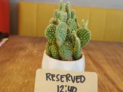 -Mesa Madre梅萨妈妈·Bintana(国贸店)