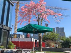 -星巴克(深圳前海企业公馆店)