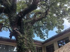 -普陀山雷迪森庄园