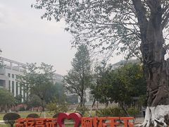 -广东中医药博物馆