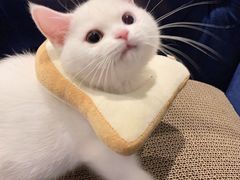 -THE ALLEY 鹿角巷(合生汇店)