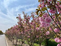 -申隆生态园-上海东方金融小镇