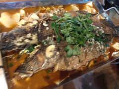 -眼镜哥浦江夜宵大本营