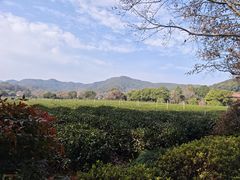 -中国茶叶博物馆(双峰馆区)