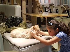 -小时光咖啡馆(开森度假森林店)