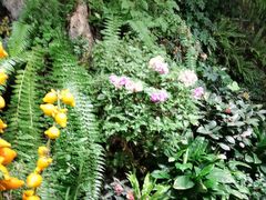 -颐而康·按摩·艾灸·足疗(汽车东站店)