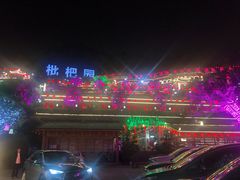 -枇杷园食为鲜火锅(南山店)