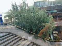 -湖畔鲁菜·二十年老字号餐厅(大明湖店)