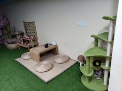 -白兔子密室(长寿路店)