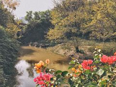 -金山公园
