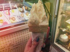 -柠檬车露(卖草地店)