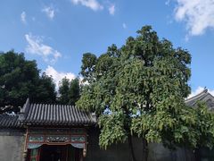 -张学良旧居陈列馆