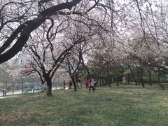 -玲珑塔公园