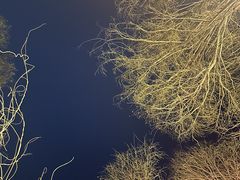 -沙澧河风景区
