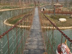 -合肥滨湖国家森林公园