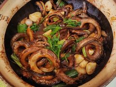 -台山第一家兴华黄鳝饭·黄鳝婆(开平店)