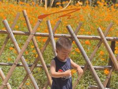 -贵阳市花溪国家城市湿地公园
