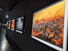 -罗红摄影艺术馆