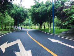 -西南政法大学(渝北校区)