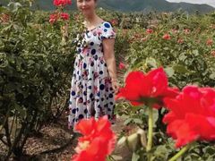-亚龙湾国际玫瑰谷