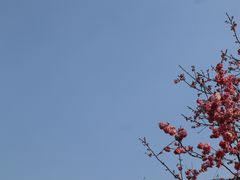 -昆明动物园