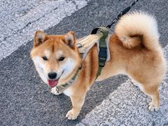 -广富林郊野公园