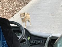 -西安秦岭野生动物园