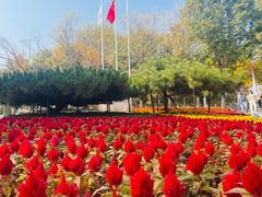 -北宫国家森林公园