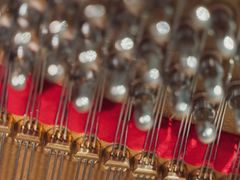 -柏斯琴行(汾阳店)