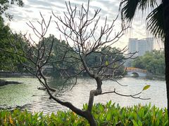 -荔湾湖公园