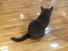 -壹人壹像工作室(购物公园店)