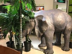 -四小姐的店(王府井店)
